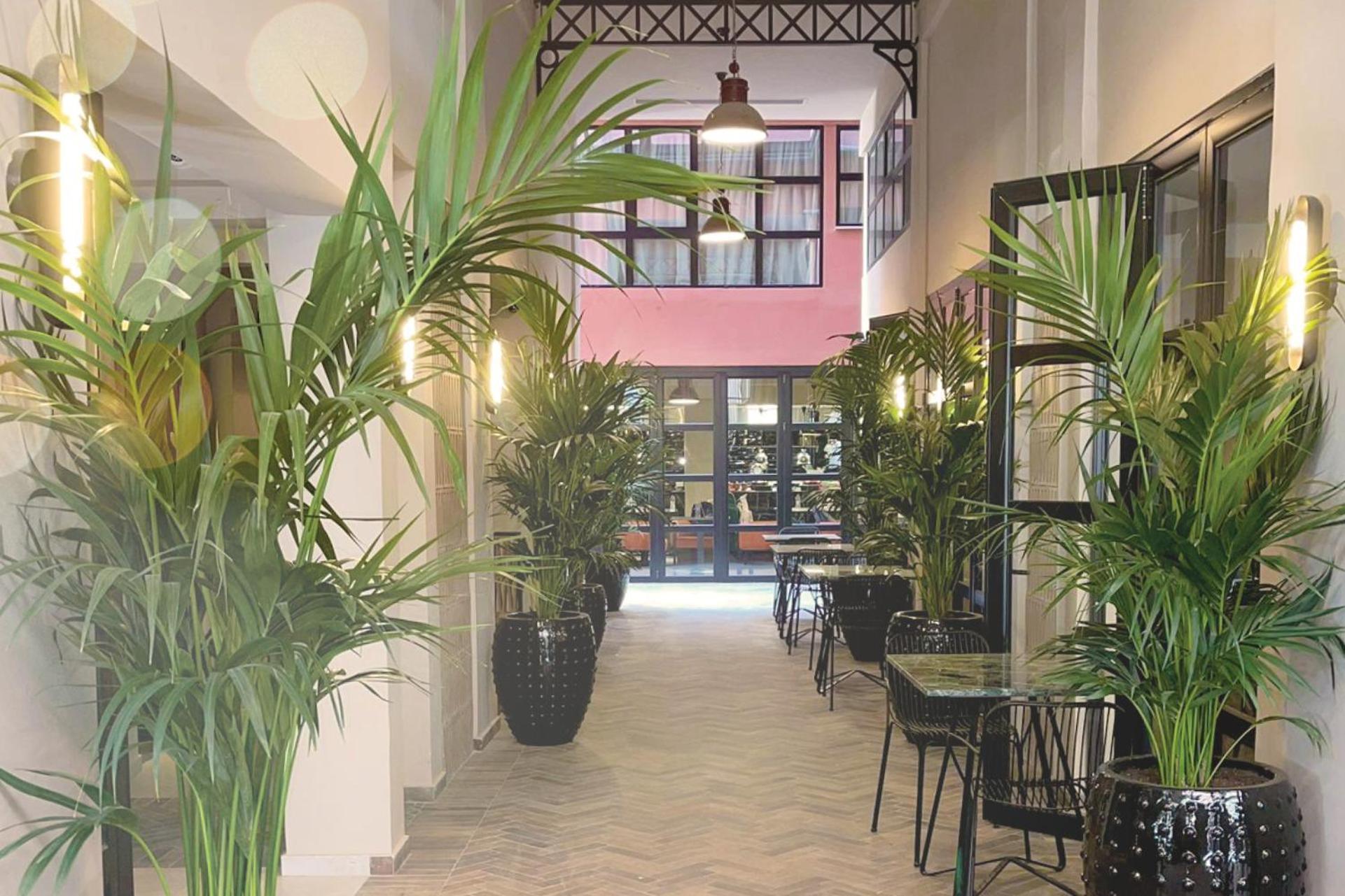 Anise, Aluma Hotels & Resorts Athènes Extérieur photo